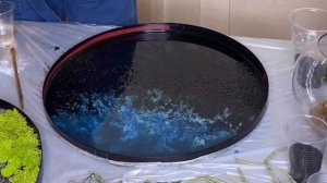 Эпоксидная смола, стабилизированный мох и искусственные растения