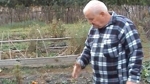 Бублик Б. А. Перец и свекла, аллелопатия и совмещение растений / Огород без хлопот