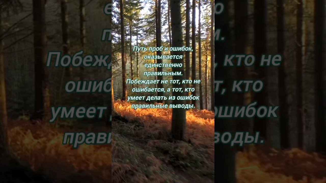ЭГФ/ИТК Контакт с Тонким Миром. #жизньпослесмерти #душа #эзотерика #тонкиймир #духовноепробуждение