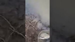 Рыбалка в апреле на реке Зай