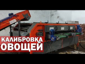 Сортировка и калибровка картофеля (видео)