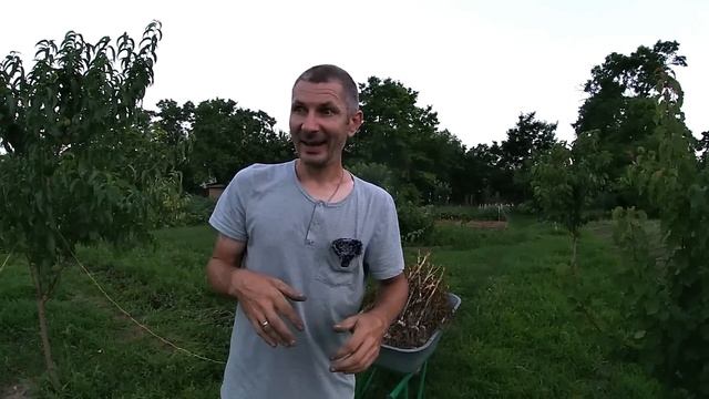 Всей семьёй на огороде смотреть онлайн