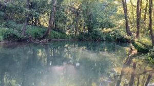 «Сон рекою» поёт Алёна Щепарёва река Суринь
