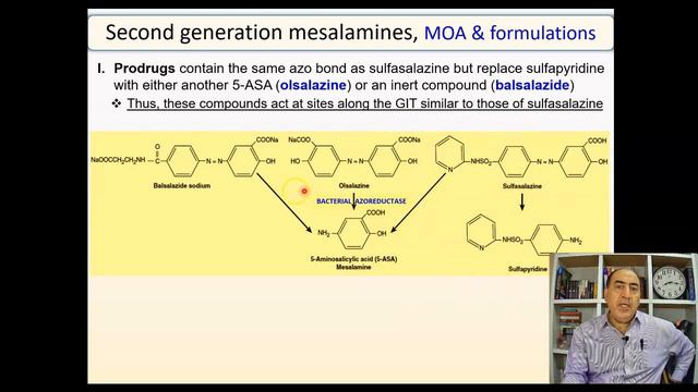 Inflammatory bowel disease: Pathophysiology & Management I: Mesalamines смотреть онлайн