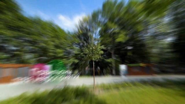 Гуляем по парку на правом берегу реки Десны смотреть онлайн