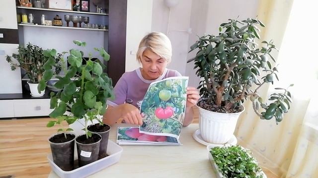 Описание сорта "Юсуповские - Ермолаевой" смотреть онлайн