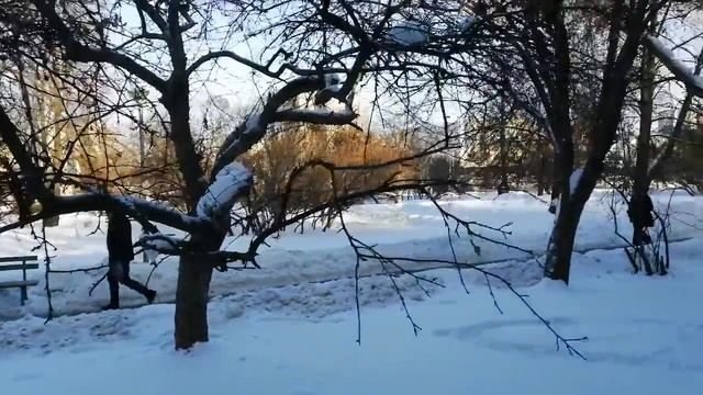 1 Москва, Пролетарский пр т 14 49к2 смотреть онлайн