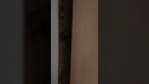 Видео обзор однокомнатной квартиры, саратов, Бардина 2