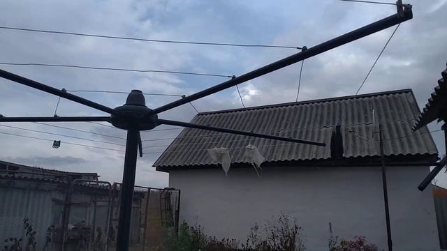 сушилка для белья, по типу карусель. смотреть онлайн