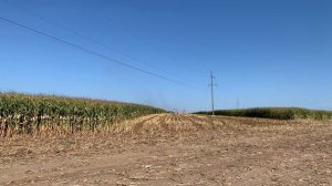 Уборка кукурузы на силос