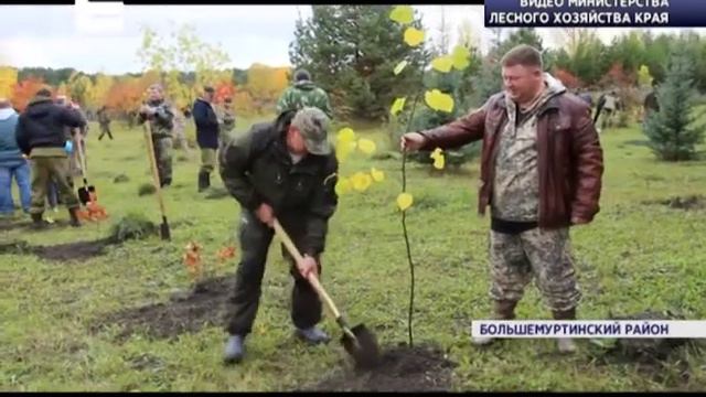 Впервые за 12 лет в Красноярском крае прошел съезд лесничих смотреть онлайн