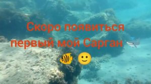 Дешевый Водонепроницаемый чехол для телефона тест, испытания в Средиземном море. Кипр