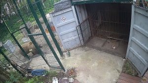 Мансур технично увёл у Лады пакет гречки.
