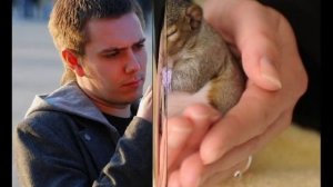 Добрые поступки,которые  трогают до слез