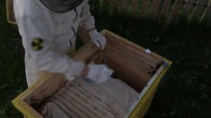 Объединение 2-х роев с пчелосемьей. Усиление пчел роями.