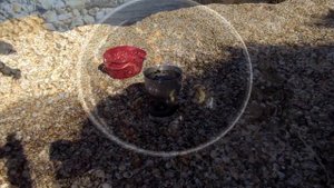 Как я ловил и готовил мидии