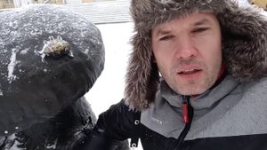 Как зимуют божьи коровки?