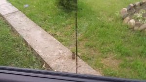 Сузуки эскудо 1.