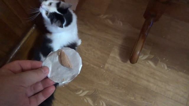 ПАШТЕТЫ РУЗКОМ ИЗ ФИКС ПРАЙС,паштет печеночный с индейкой,печеночный паштет с беконом,СТОИТ ЛИ БРАТ
