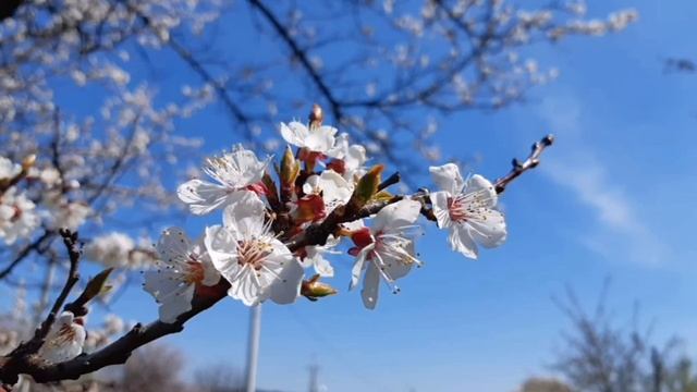 ?309 ‼Сны о Восхищении Церкви ‼Иисус Идет смотреть онлайн