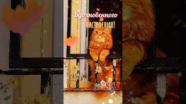 С добрым утром!????