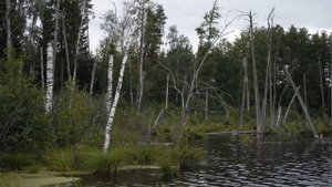 Что мы нашли в аномальной зоне. ТехноБайки Амперки