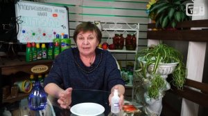 Как увеличить всхожесть семян? Перекись водорода. Хитсад ТВ