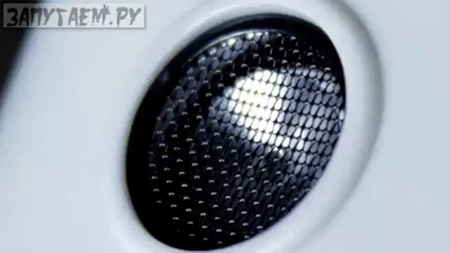 Ультразвуковой отпугиватель Гром 2X (стационарный)