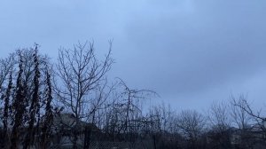 Куда утилизируют ветки после обрезки деревьев осенью//Куда девать мелкие ветки//