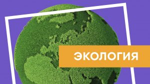 ESG. Пандомат. Очистим город от пластика. Решение для умного города. Smart city. Экология