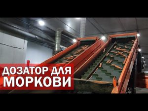 Фасовка моркови (видео)