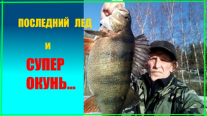 Последний лед. Супер окунь на самодельную блесну.