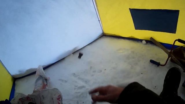 Личинка короеда - как вариант наживки..Бурятия .Селенга 2018 смотреть онлайн