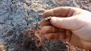 поиск кладов с металлоискателем TX850. field search with TX850 metal detector.pencarian lapangan