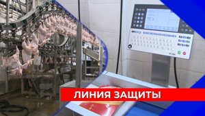 На нижегородских птицефабриках усилили меры безопасности после вспышек гриппа птиц