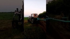 Юмз 6 сенокос