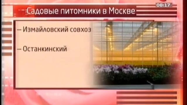 Букет для учителя на 1 сентября
