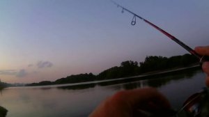 Рыбалка на Москва реке 2019  Рыбалка в коломенском парке на спиннинг Crazy Fish Levin