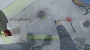 Шершневское водохранилище. Зимняя рыбалка на чибака. пос .Сосновка.