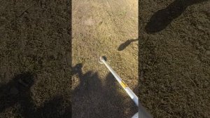 Husqvarna 252rx with 240r grip