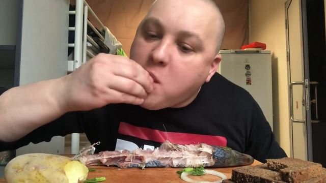 СЕЛЬДЬ Точу её целиком черноспинка (залом) каспийская мукбанг MUKBANG