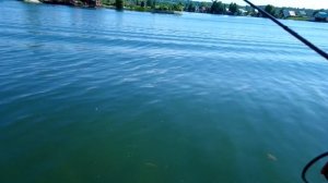 #Новокузнецк