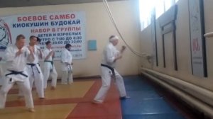 Кихон пинаны семинар 2015 года. Кекушин Будокай кан. Школа Астафьев рю. Новосибирск