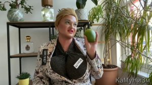 Муд: ПРОДАВЩИЦА ШУРА СТОУН