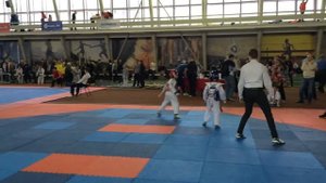 Всероссийский турнир "Защитник Отечества" 24-25 февраля 2018г.