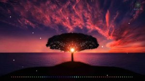 Сура: Аль-Вакиа красивое чтение Корана, послушайте перед сном, успокоение для души! Салим Баханан