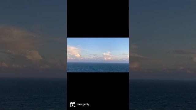 Птицы (стихи) смотреть онлайн