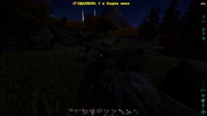 ARK Survival Evolved - ПРИРУЧЕНИЕ ТРООДОНА. TAMING TROODON.