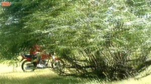 МОТОЦИКЛ МИНСК D4 125 ДЛЯ ЧАЙНИКОВ #1