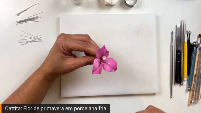 Flor Primavera em Porcelana Fria ou Açúcar смотреть онлайн